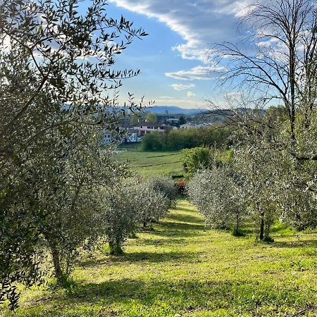 Vila Il Nido Di Margherita San Giovanni Valdarno Exteriér fotografie